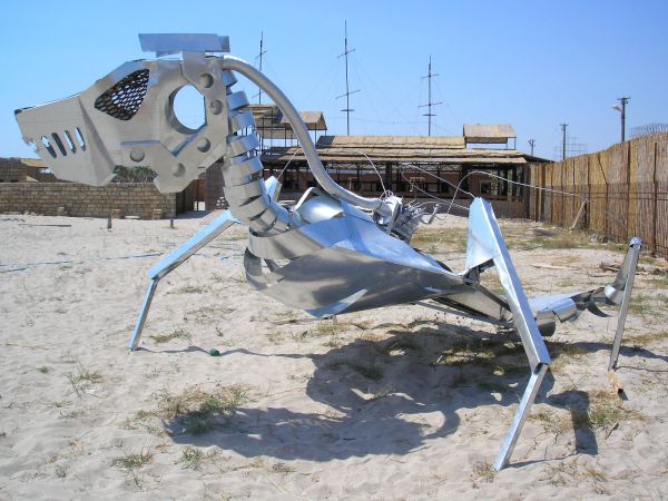 Crazy Animal @ kazantip #1 Crazy Animal @ kazantip #1