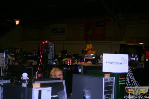 �������� �����-pig