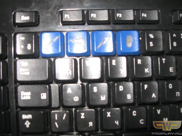 ������ ������